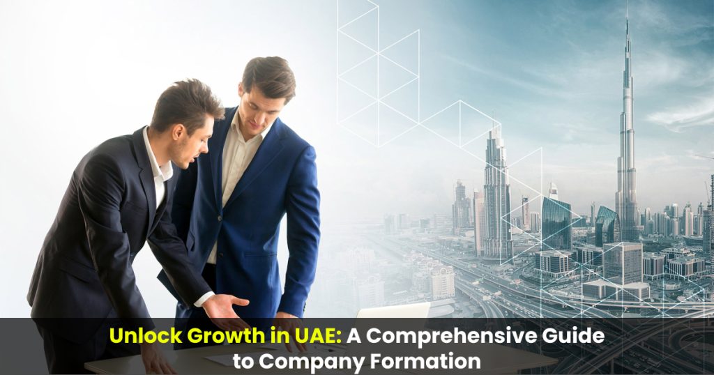 a comprehensive guide to company formation